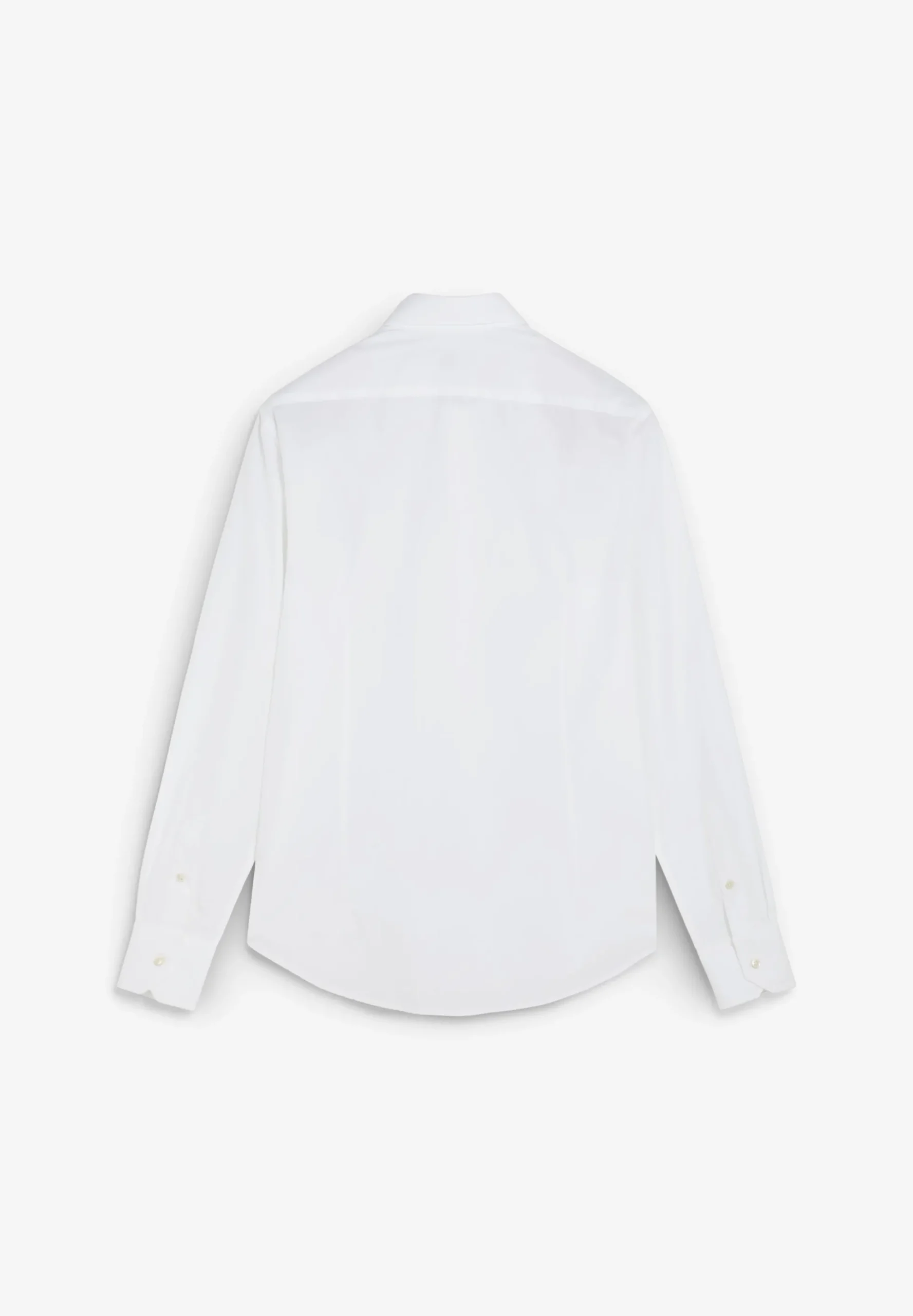 CAMISA DE ALGODÓN ALBINI