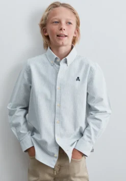 CAMISA OXFORD RAYAS