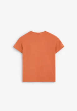 CAMISETA BÁSICA CALAVERA