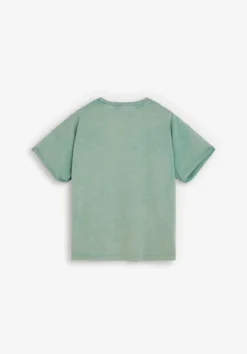 CAMISETA ESTAMPADA WASHED
