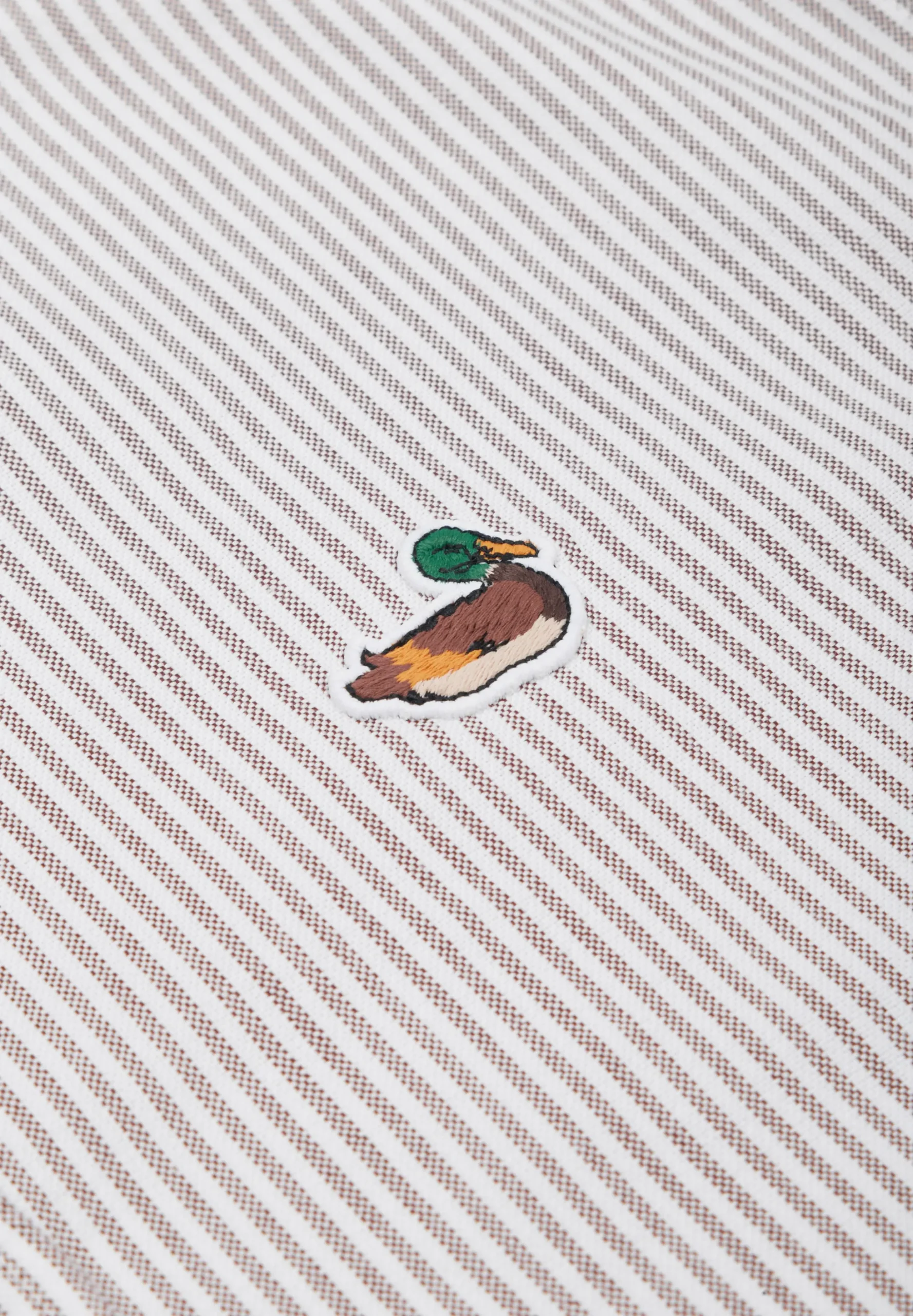 EDMMOND | CAMISA DUCK STRIPED