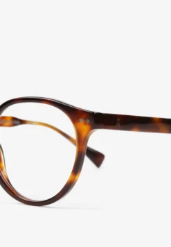 GAFAS CAREY