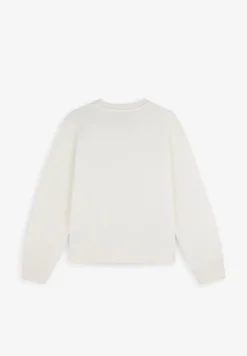 SUDADERA BÁSICA CALAVERA