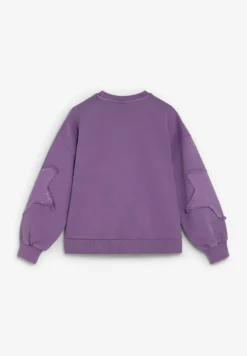 SUDADERA DETALLE MANGAS