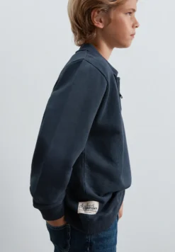 SUDADERA HALF-ZIP PRINT TRASERO