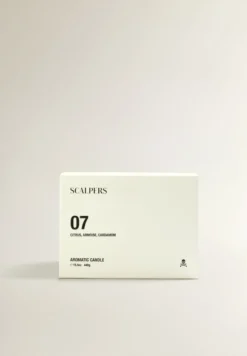 VELA AROMÁTICA 07 440 GR CITRUIS, ARMOISE, CARDAMOM